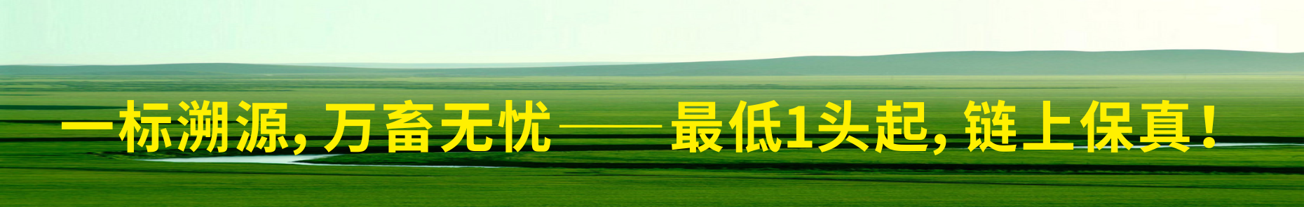 banner 一标溯源，万畜无忧——最低1头起，链上保真！